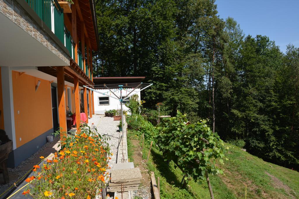 Gaestehaus Schmid Sankt Johann im Saggautal Buitenkant foto