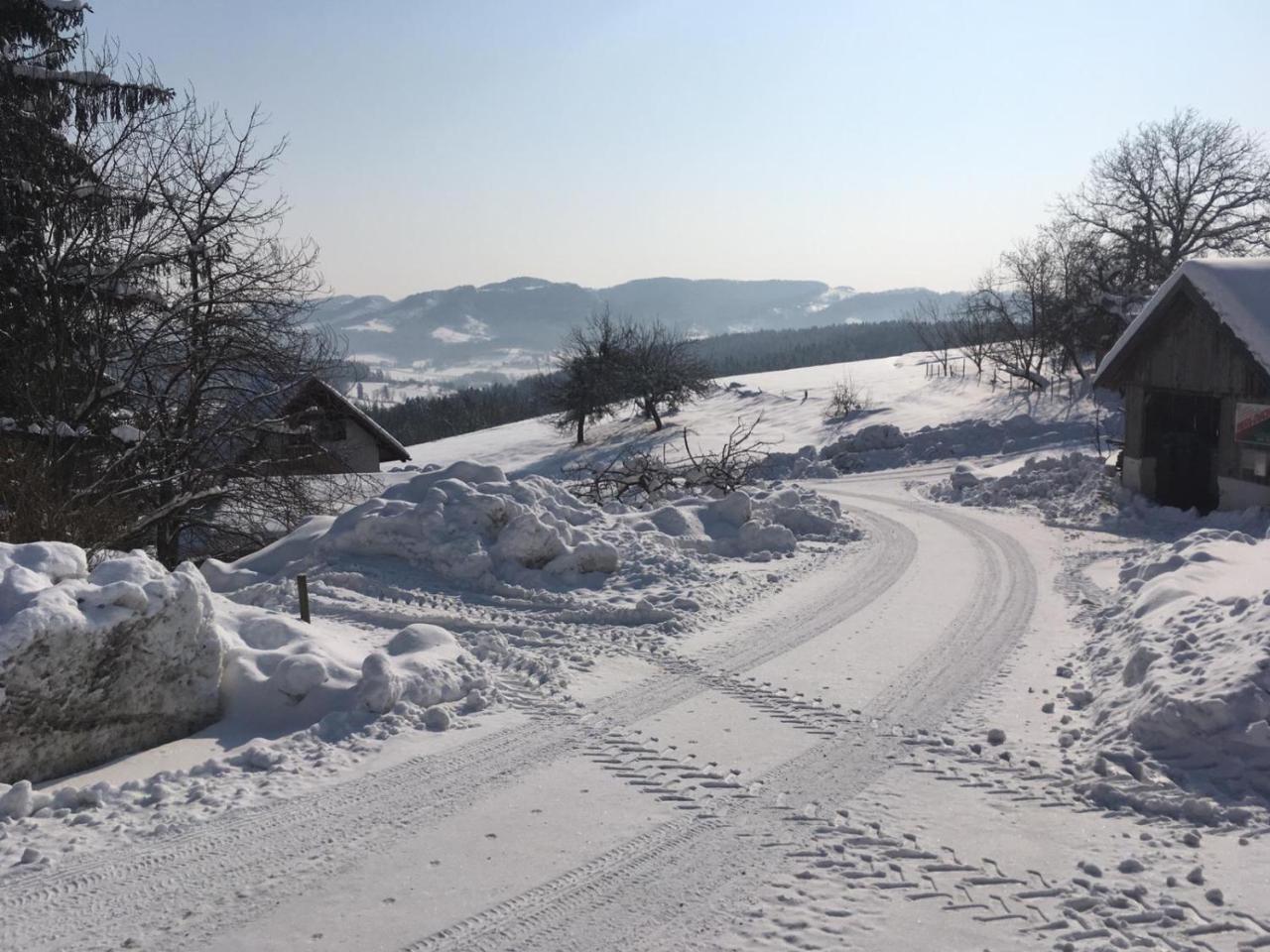 Gaestehaus Schmid Sankt Johann im Saggautal Buitenkant foto